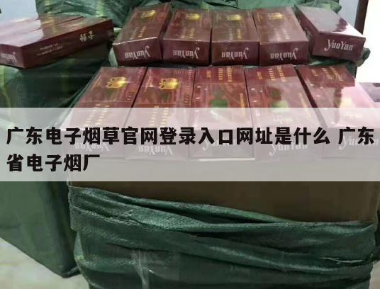 广东电子烟草官网登录入口网址是什么 广东省电子烟厂